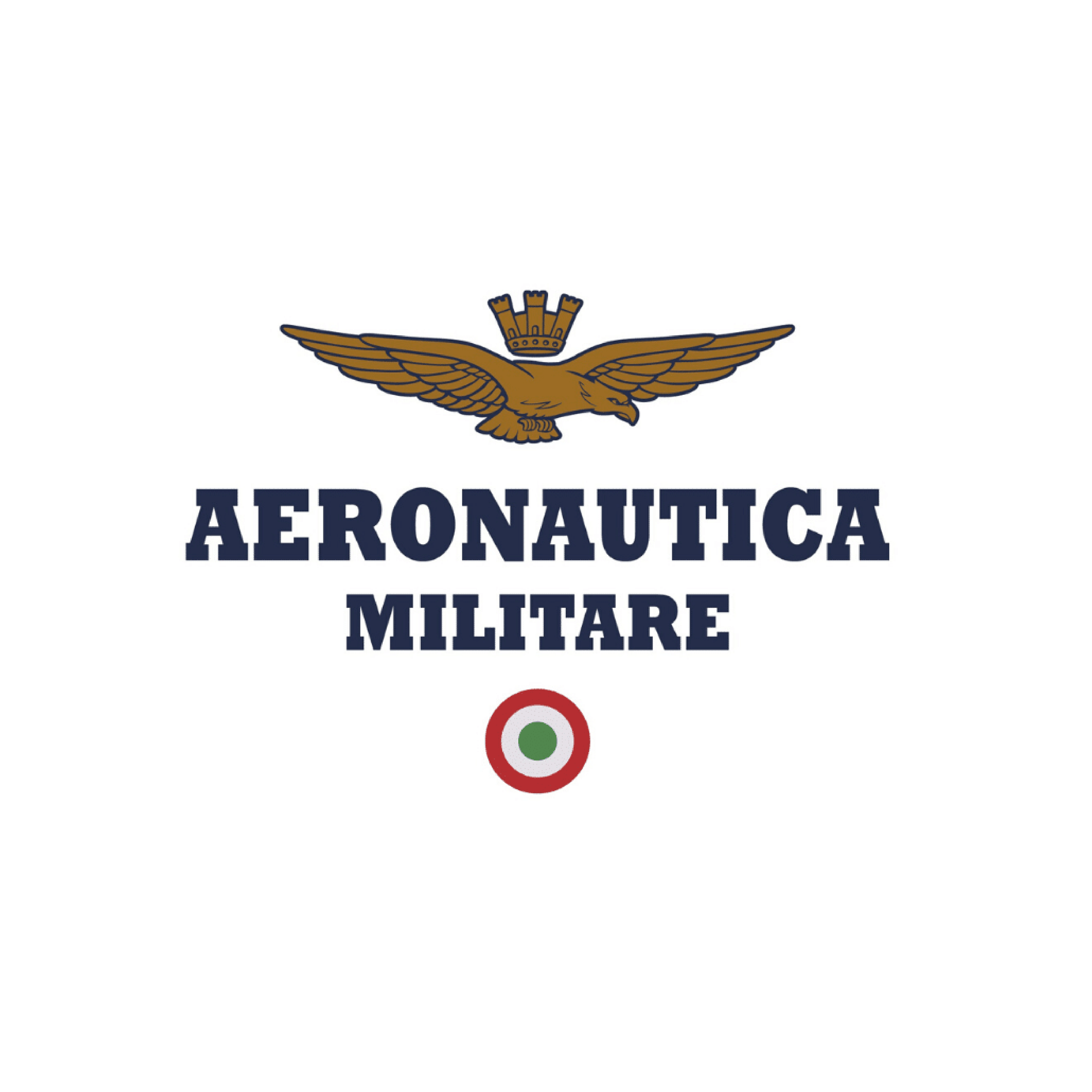 Logo Aeronautica